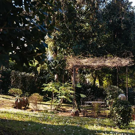 Ai Tre Cedri Bologna